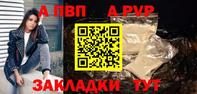 стаф Малгобек