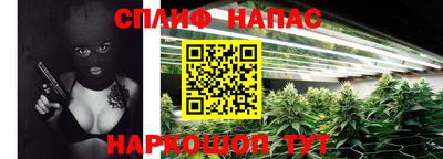 крисы Малоярославец
