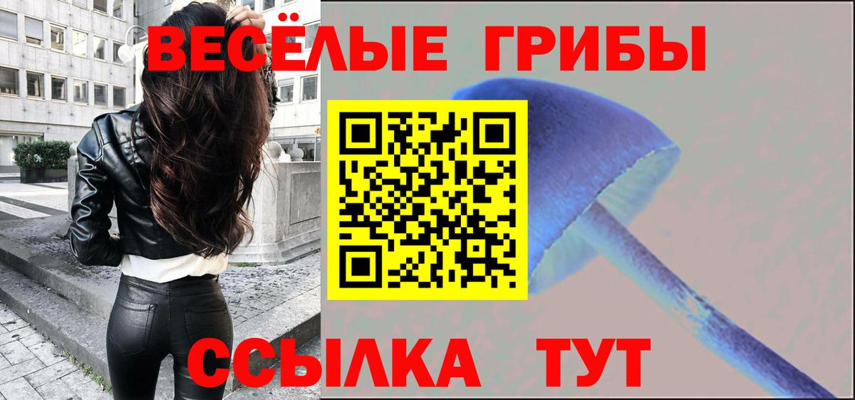 Галлюциногенные грибы мицелий  Вход с VPN  Полысаево 